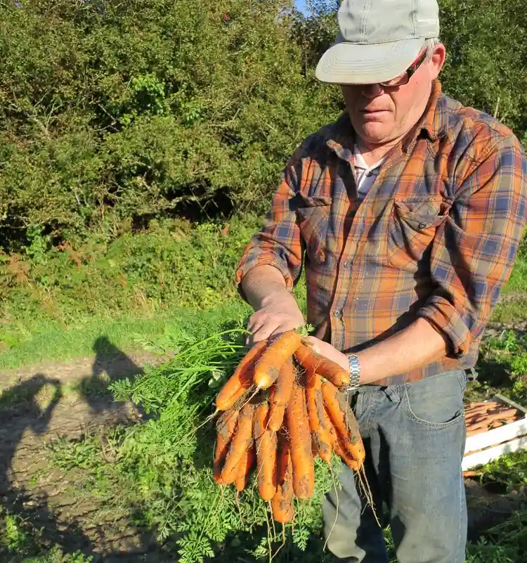 Direct producteurs 1